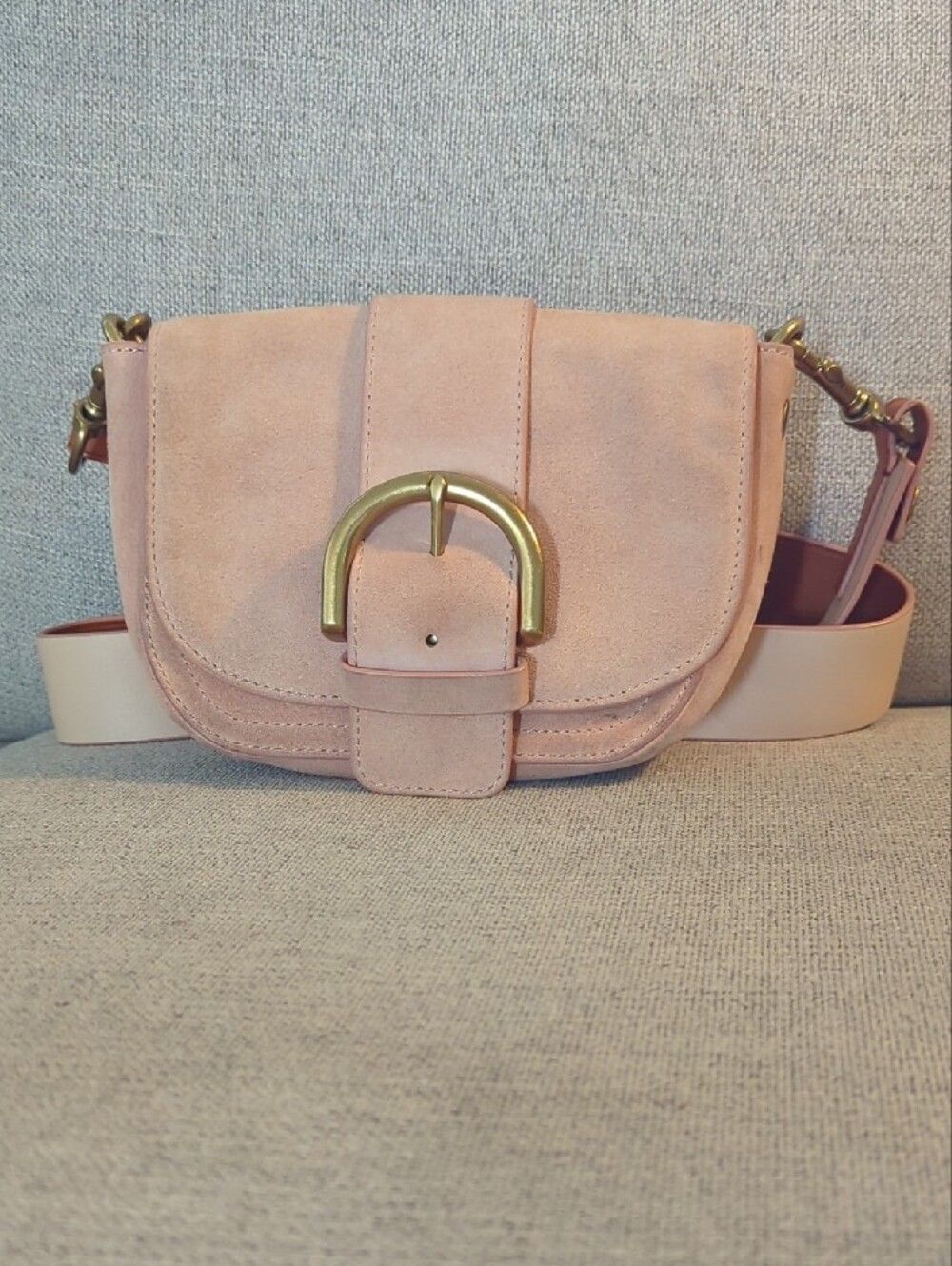 JCrew Blush Pink Suede Crossbody Bag with Brass Buckle